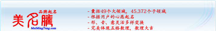 49個大領(lǐng)域，45,372個子領(lǐng)域；根據(jù)用戶的心愿起名；形，音，意靈活變換；完美體現(xiàn)五格數(shù)理