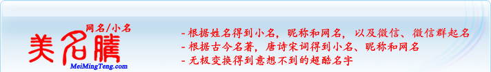 根據姓名得到小名，昵稱和網名；根據古今名著，唐詩宋詞得到小名，昵稱和網名；無極變換得到意想不到的超酷名字