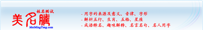 用字的來源及意義、音律、字形；五行、生肖、五格、星座；成語釋名、趣味解釋、名言名句、名人用字