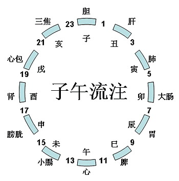 十二時辰與中醫